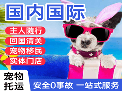 南京禄口空运公司国际宠物托运 【国